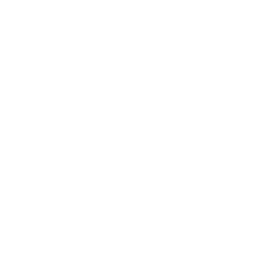 MEI logo